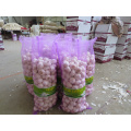 china fresh garlic for morocco